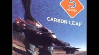 Watch Carbon Leaf Follow The Lady video