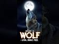 Wolves Die But Never Bow – A Lesson in Freedom 🐺🔥 |GeoNovax