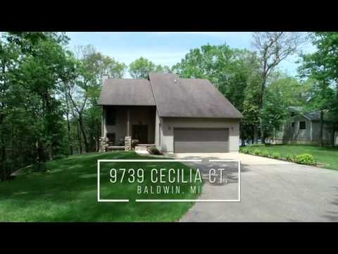 9739 Cecilia Ct, Baldwin, MI home video tour