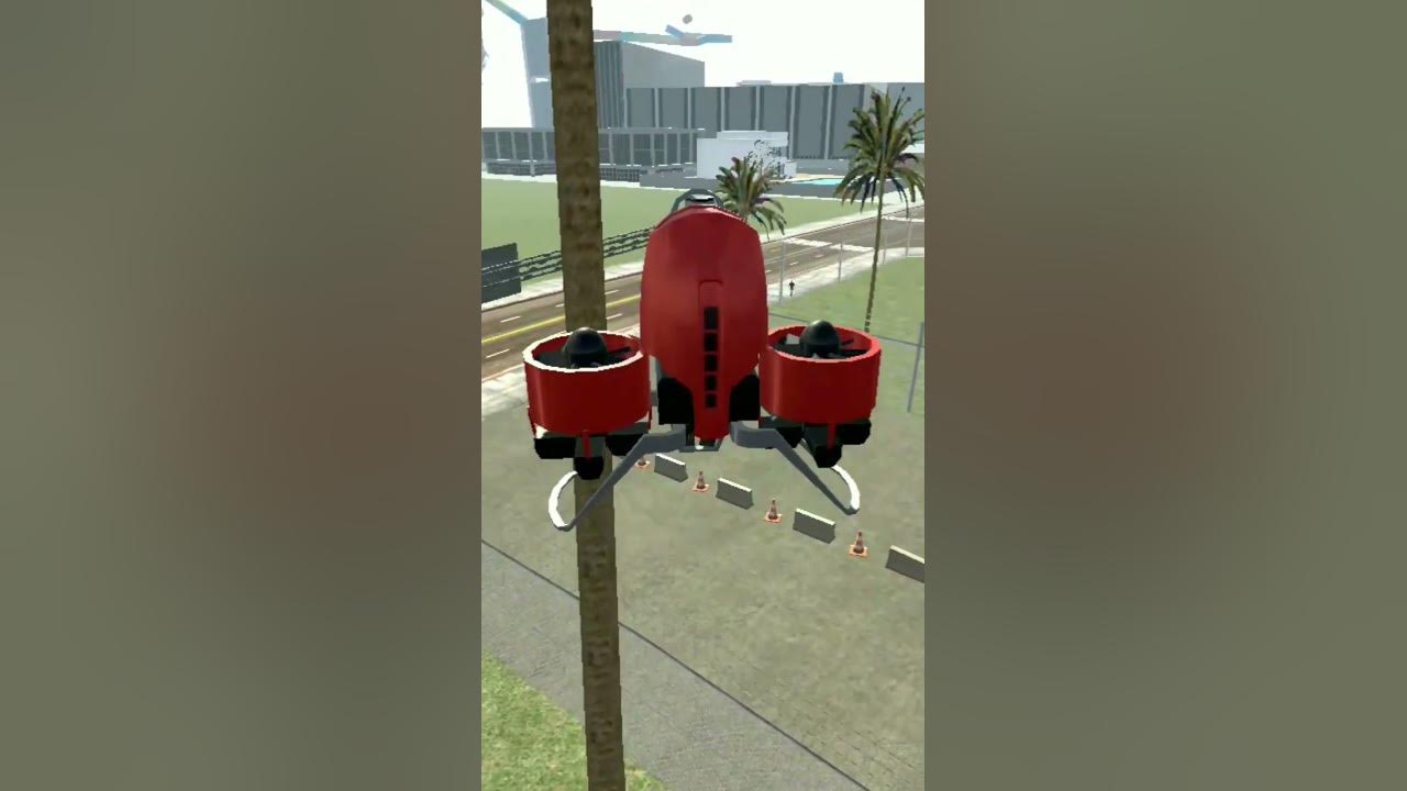seeing-coconut-tree-with-jet-pack-coconuts-indianbikedriving3d-gaming