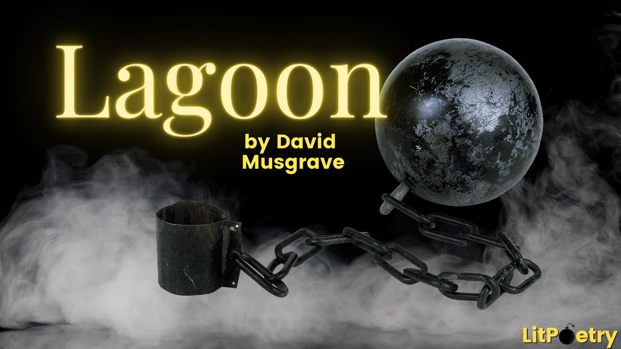 'Lagoon' by David Musgrave (Poem Season 2, Episode 7) YouTube