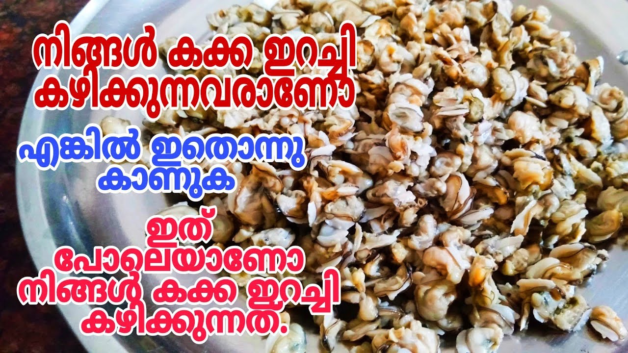How to clean clams meat Kakka irachi cleaning Cleaning clams in