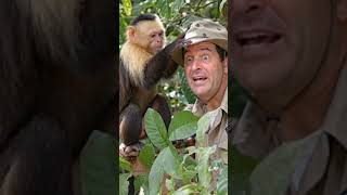 Monkey Talking Like Human 😳🐒 | Funny Jungle Reaction Gone Viral #shorts #funnycomment