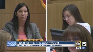 Catfight In The Courtroom