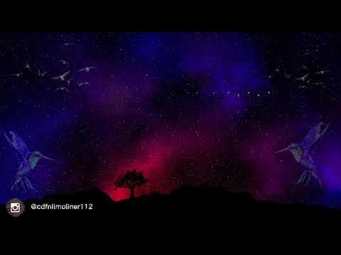 Nil Moliner - SOM OCELLS (Letra) 🎶 - YouTube