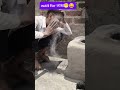 ​#ComedyReels​#FunnyVideos​#HumorReels​#ViralComedy​#ComedyContent​#LOLReel​#LaughReel​#DailyHumor