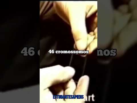 O mistério do