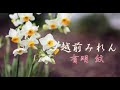 越前みれん(唄:有明 紋)