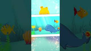 C'est la baleine : Apprendre en Chanson | Comptines pour enfants
