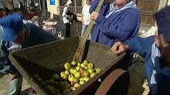 Caudebec : les 40 ans de la fête du cidre