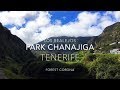 Los Realejos | Park Chanajiga | Forest Corona | Tenerife