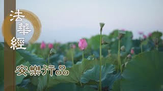 【靜思妙蓮華】法華經安樂行品 - 末法持經 生大慈悲 - 20230609 第1433集