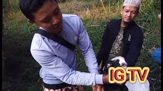 Tips cara mengetahui Umur Kambing #Gigi_Kambing #Cara_Beternak_Kambing #Beternak_Kambing_yangBenar