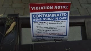 Bay Area residents cited for recycling wrong