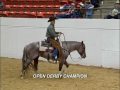 2009 Abilene Spectacular - Metallic Cat & Beau Galyean