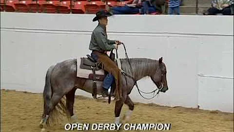 2009 Abilene Spectacular - Metallic Cat & Beau Gal...