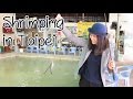 [Sunny Travels] Taipei Vlog Part 3 - Taipei Zoo in the Raining &amp; Shrimping