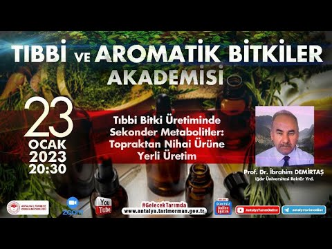 Video: Bölge 5 Kuru Gölge Bitkileri - Kuru Gölge Bahçeleri İçin Bölge 5 Bitki Seçimi