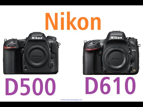 Nikon D500 vs Nikon D610