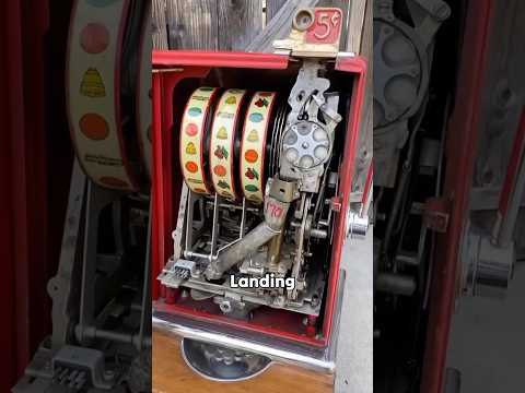How slot machines work?🤔