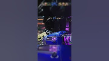 Apex Legends: Quick 3 Piece🔥🥇 #shorts