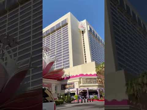 Sesión de Blackjack con voz suave ASMR Experiencia de crupier de casino