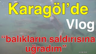 Uçalım Görelim Karagöl De Balıkların Saldırısına Uğramak - Vlog