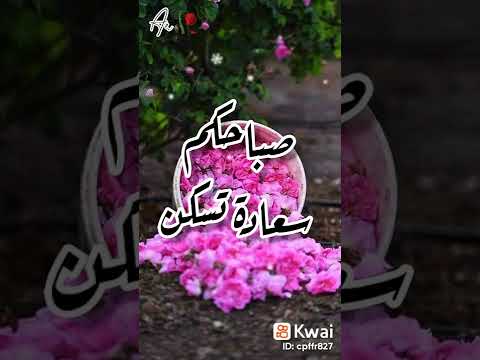 موسيقى كلاسيكية من فيلم رجل فقد عقله للزعيم عادل إمام