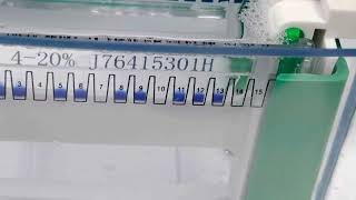 Sample Loading Buffer and 2-Hour Western Blot Kit Actualización