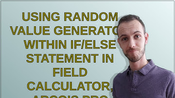 Gis: Using random value generator within if/else statement in field calculator, ArcGIS Pro