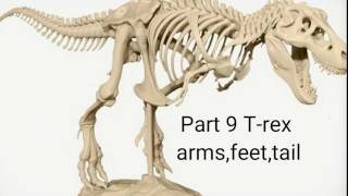 Anet A8 3D printer T-rex part 8