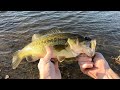 13 Bass in 1 Hour on the Private Pond!
