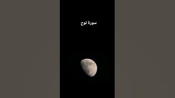سورة نوح/ Surah Noah حلات واتس قران