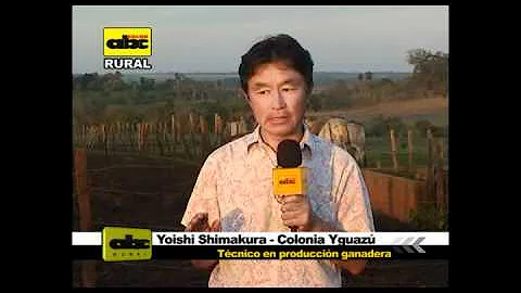 O que é sistema Semi-extensivo?