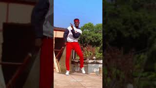 Boy Spyce - Folake (Official Dance Video) #shorts