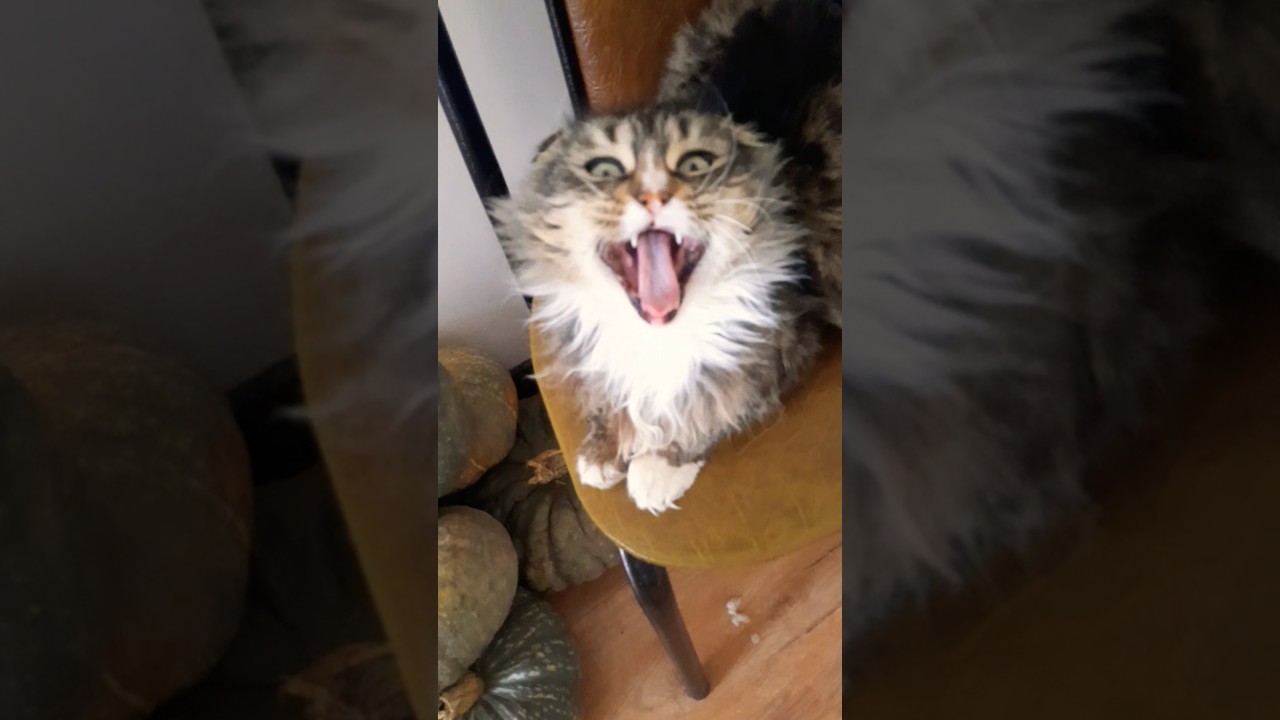 Подготовка к ,,отдыху"...😍