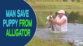 Man saves his Puppy from the jaws of Alligator 🐊 by Globe Lite 42 views 1 year ago 51 seconds