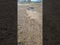 UDR Unlimited Desert Racer Off-road Dirt Trophy Truck #RTR #RC ORV Park