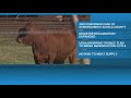 Screwworm in Texas: Second case confirmed as disaster declaration expands