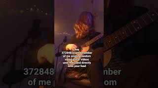 more reverse guitar #guitar #indie #guitarist #neopsychedelia #alternative #guitareffects