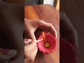 please like my videos if you like may videos