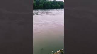 Rainy days by the river #rainydays #river #rainsounds #relaxing #calm