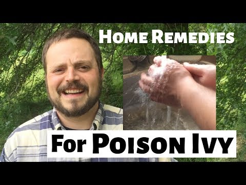 Best Home Remedies for Poison Ivy