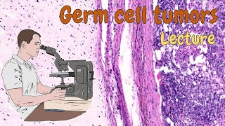 Pathology - Germ cell tumors (ENG)