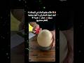 طائر يطبع المال في الإمارات كيف تحول النعام إلى 3 كنوز مخفية سيارة صقر هدية أفكار مشاريع