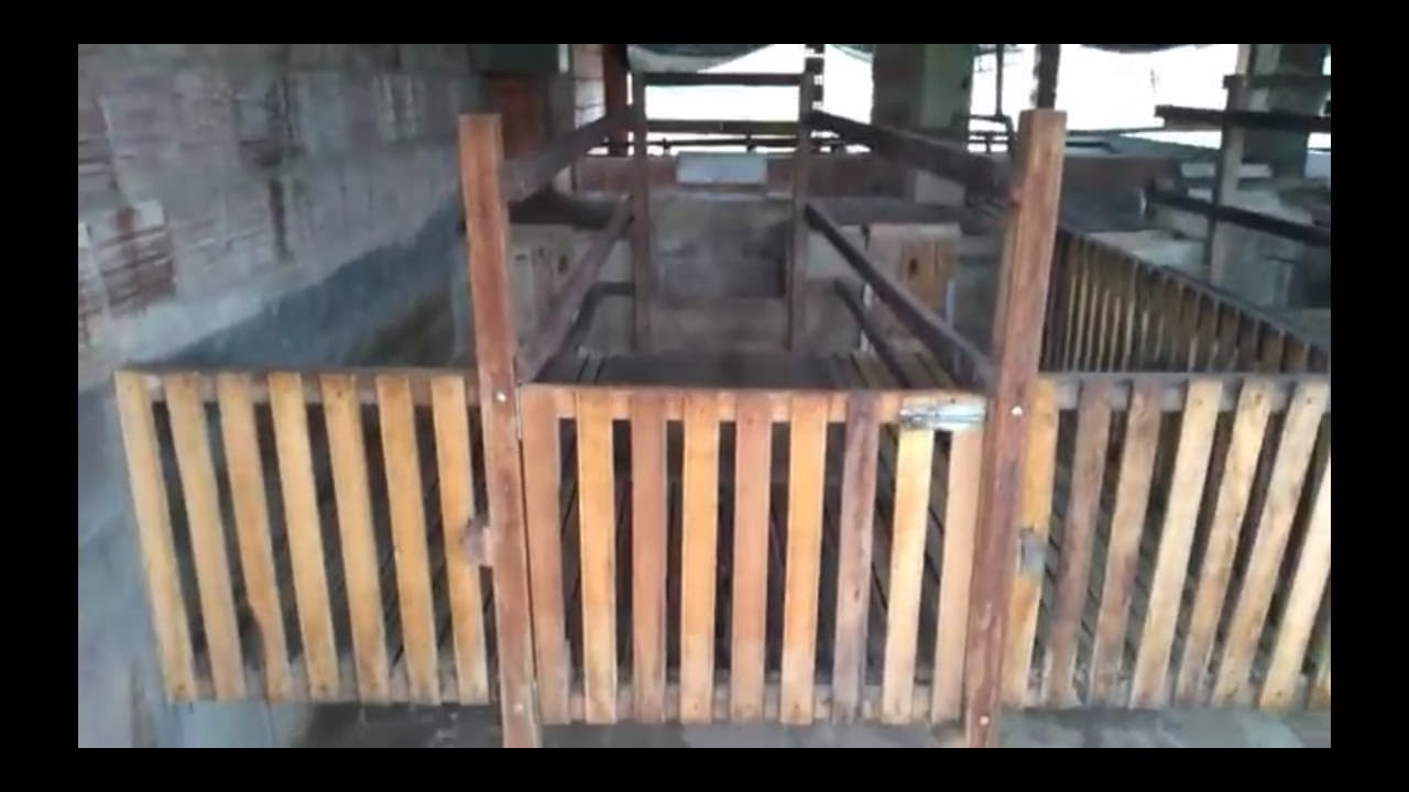 Maternidade com piso ripado (veja esse vídeo antes de fazer a sua maternidade com baixo custo)