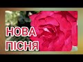Примхи погоди ХІТ 2025 українськамузика новамузика кохання хіт пісня любов дрогобич Примхи погоди ХІТ 2025 українськамузика новамузика кохання хіт пісня любов дрогобич