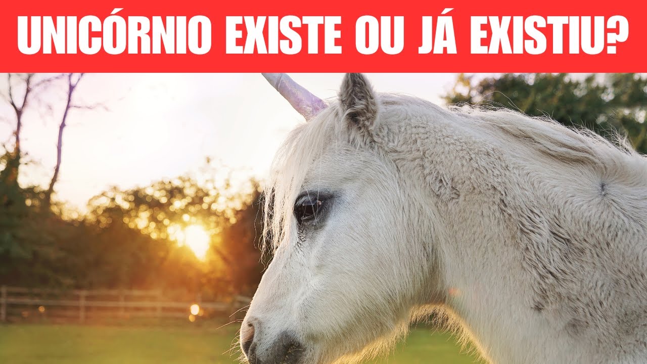 Unicórnio existe ou já existiu? - YouTube