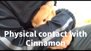 Physical contact with Cinnamon