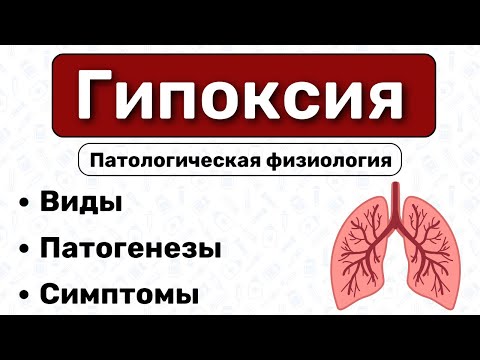 Гипоксия: виды, патогенез, парциальные давления / Патологическая физиология